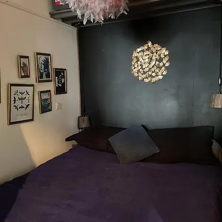 Apartment - Scudo Garden